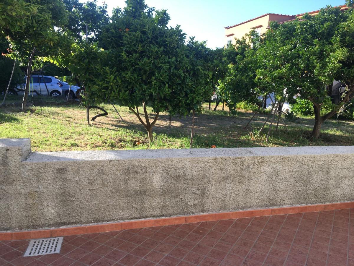 Apartamento La Finestra Sul Giardino Isquia Exterior foto
